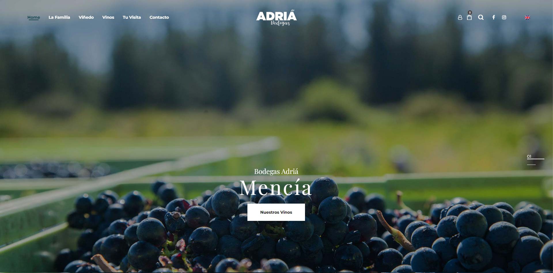 Web Comercial de Bodegas Adrià